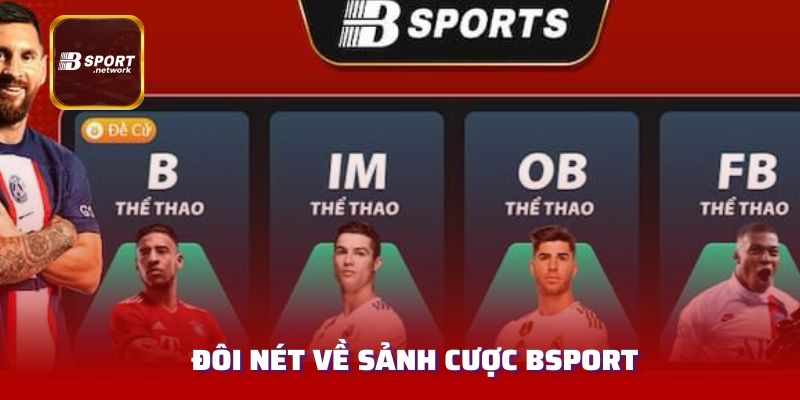 Đôi nét về sảnh cược thể thao Bsport