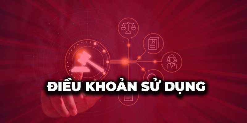 Chính Sách Điều Khoản về luật sửa đổi bổ sung