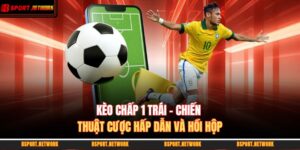 Kèo Chấp 1 Trái - Chiến Thuật Cược Hấp Dẫn Và Hồi Hộp 14 kèo chấp 1 trái