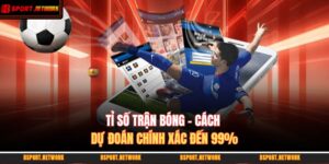 Tỉ Số Trận Bóng - Cách Dự Đoán Chính Xác Đến 99% 13 tỉ số trận bóng