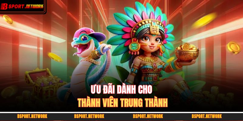 Ưu đãi dành cho thành viên trung thành